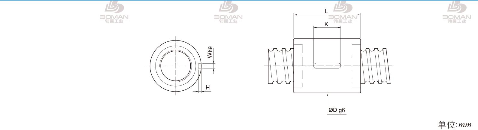 PMI RSIC5008-6 pmi滚珠丝杠配件